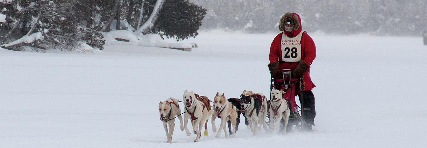 Dogs and Sleds Helped Settle the Gunflint Trail