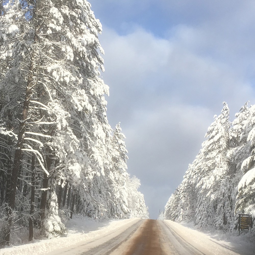 Gunflint Trail Snow December 18, 2015