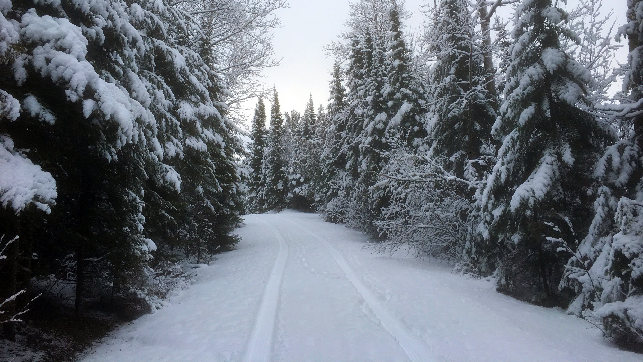 Rockwood--Snowy Thursday 1