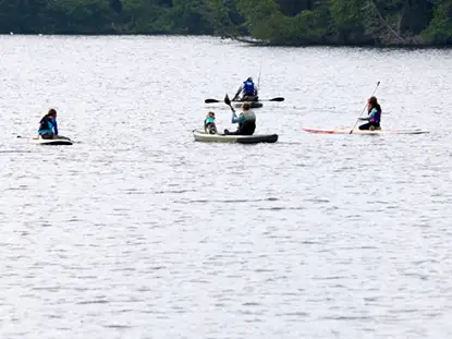 Rockwood Paddleboard Kayak Dog