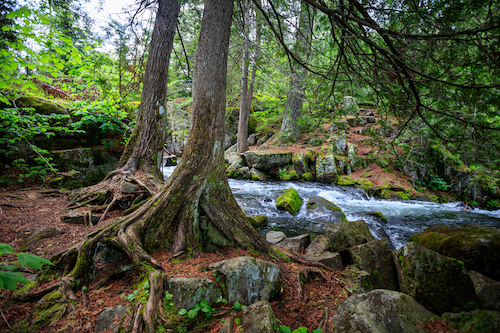 Hiking is nothing but walking with purpose