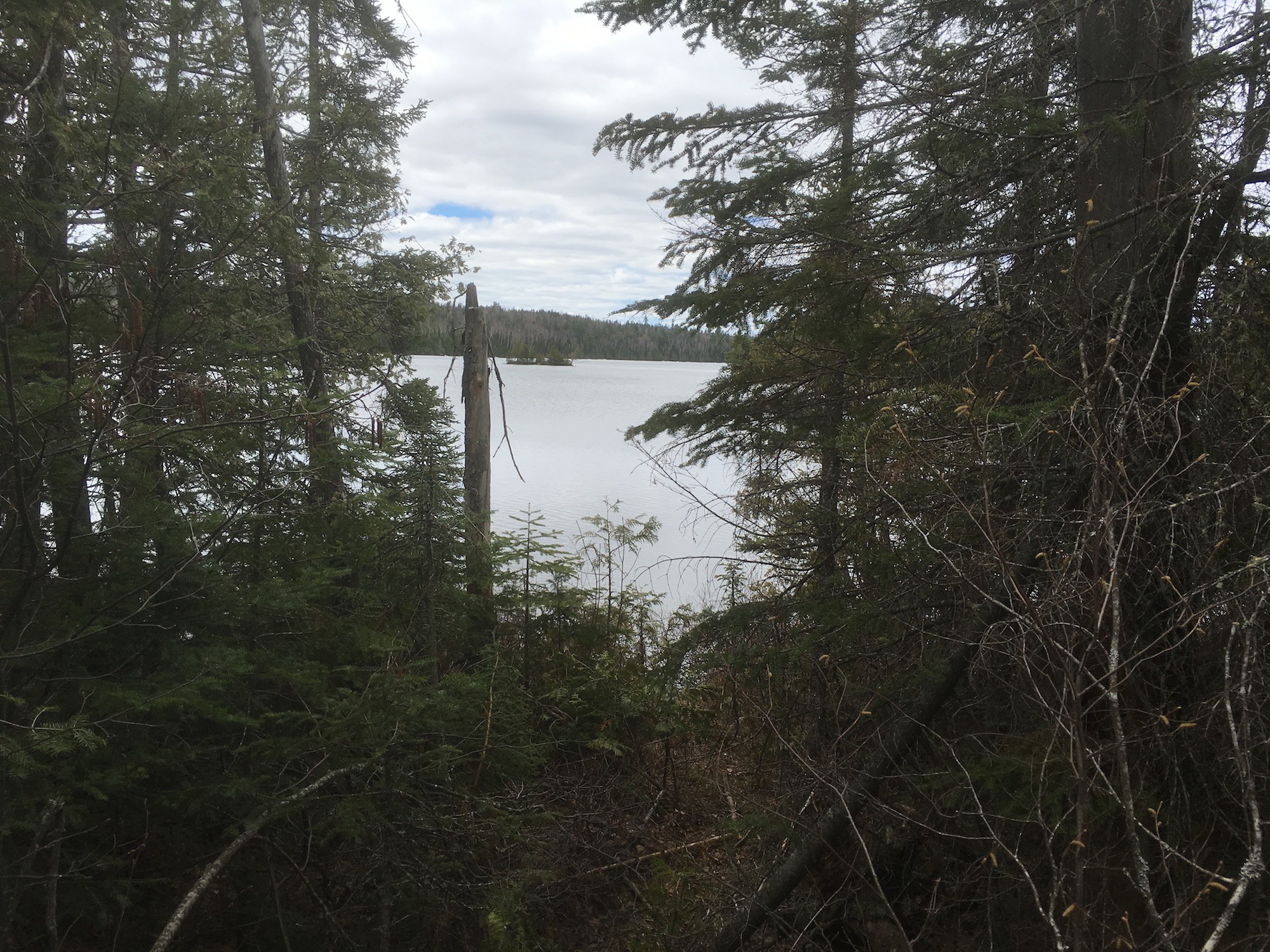 South Lake Trail April 30, 2016