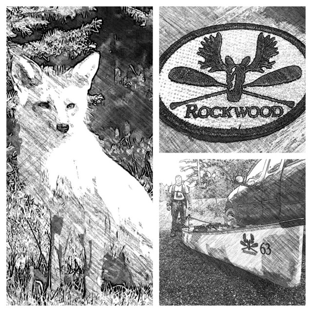 Rockwood--Busy few months 1