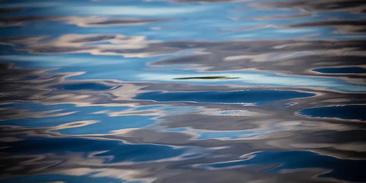 Connecting With Nature: Mindfulness, Meditation, and Finding Peace in the BWCAW