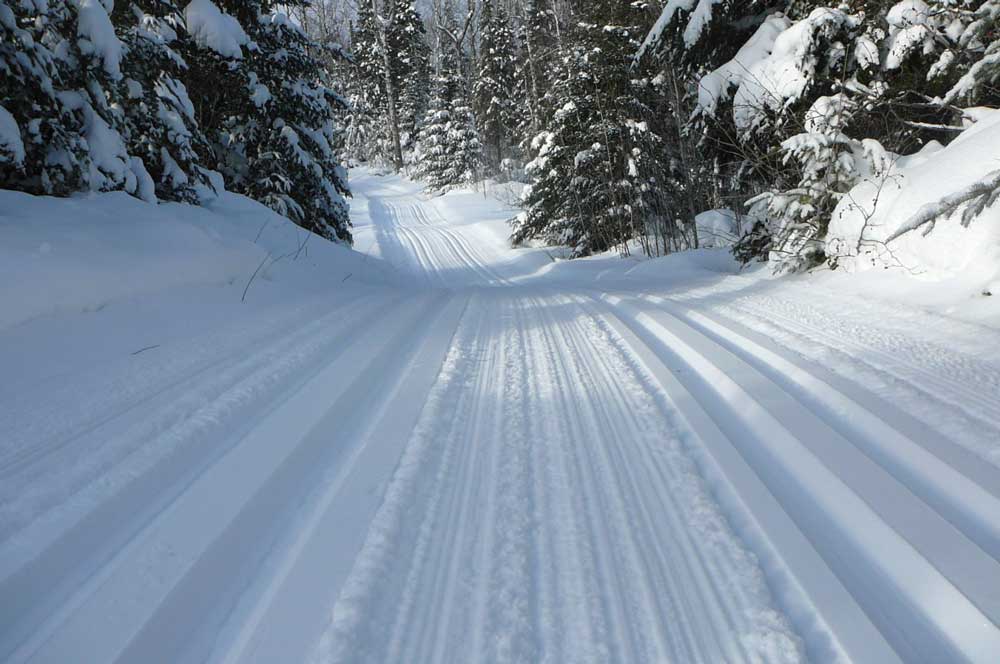 Cross-Country Skiing on The Gunflint Trail