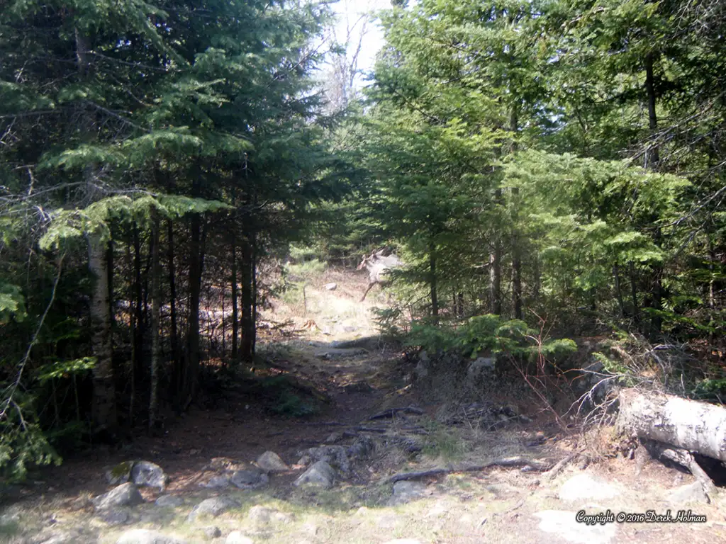 Portages–A Stroll Through the Woods or a Torment for Beginners?