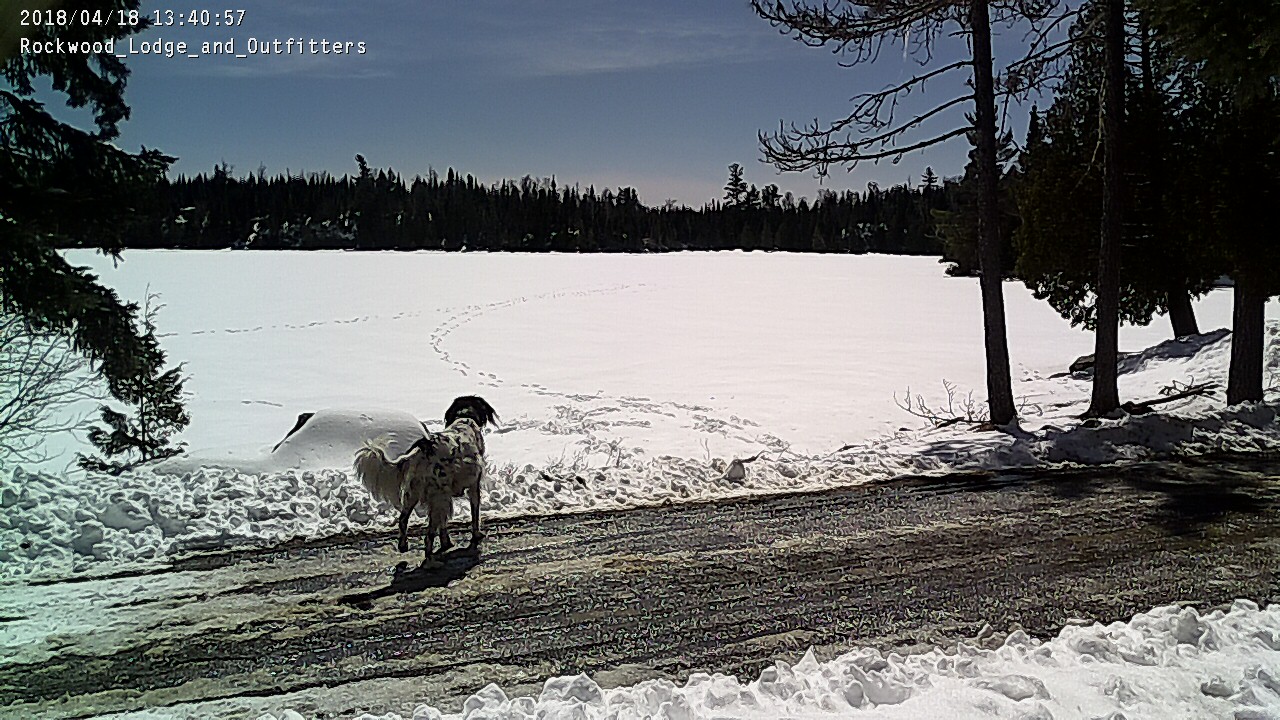 Ice Out?