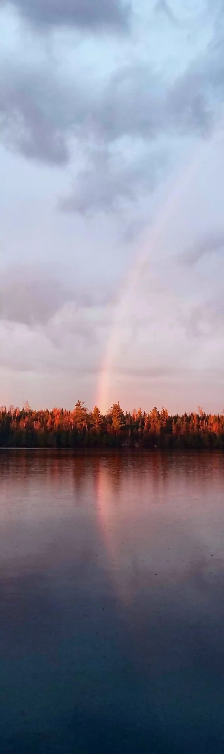 Reflection of the Northwoods by Laura Patrick