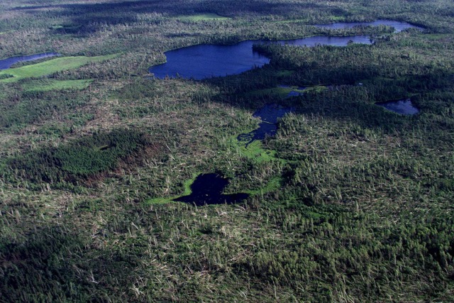 Rockwood--Superior National Forest and BWCA Hit by Derecho on July 4th, 1999 27 Rockwood--Superior National Forest and BWCA Hit by Derecho on July 4th, 1999 26