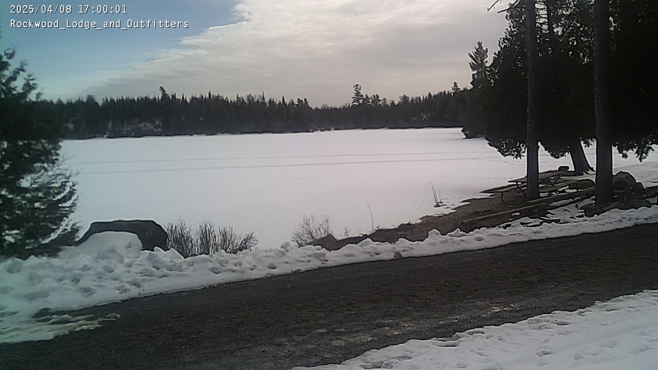 rockwood webcam
